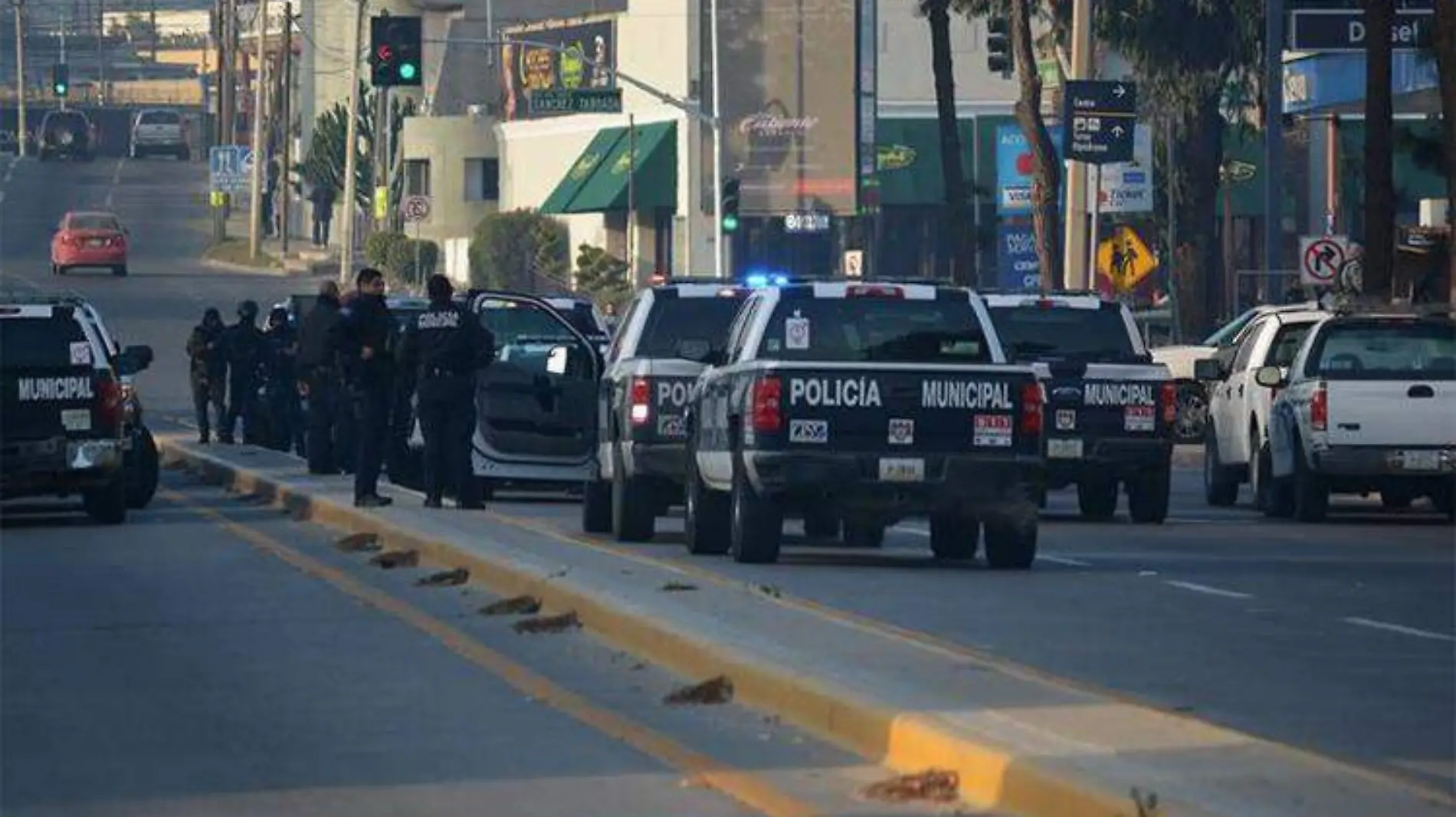 policias copia